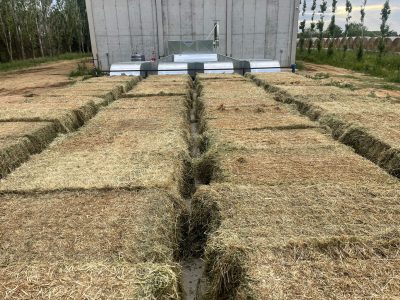 secadero de forraje de flujo directo